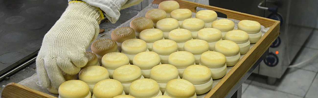 Church Bread Baker: what they do, how to become one, and where to study