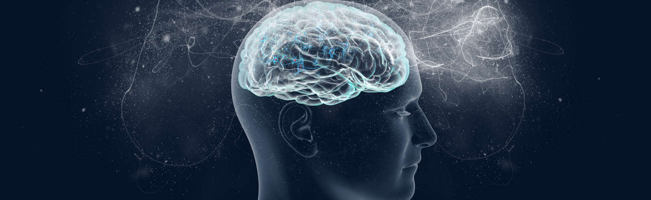 Что такое IQ? Интервью, ПрофГид