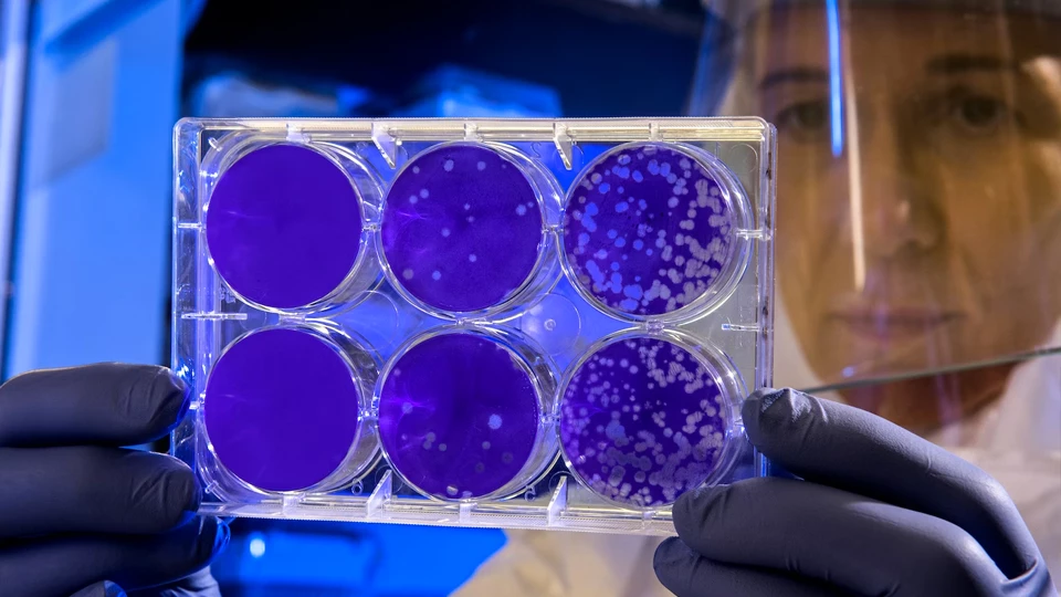 Профессия &laquo;Профессия цитолог&raquo;