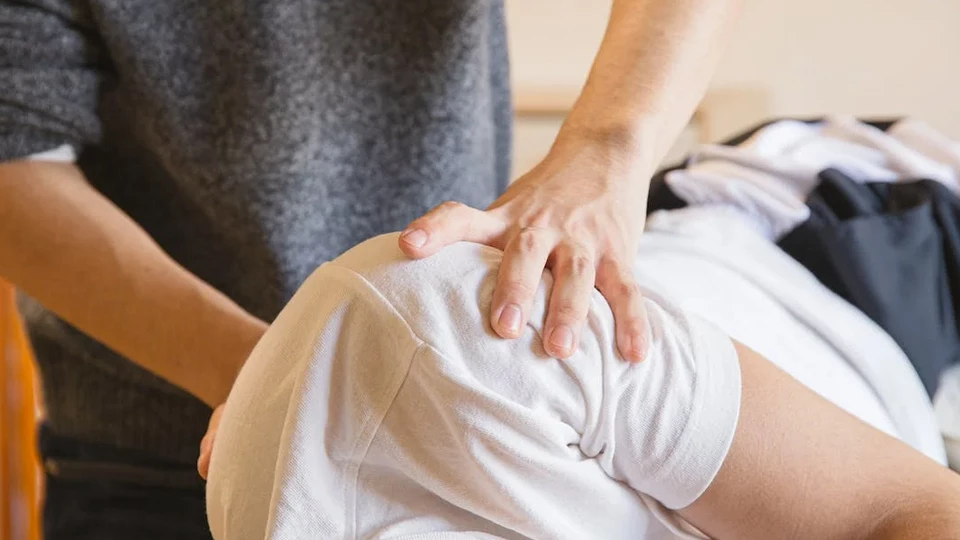 Профессия «Профессия вертебролог»