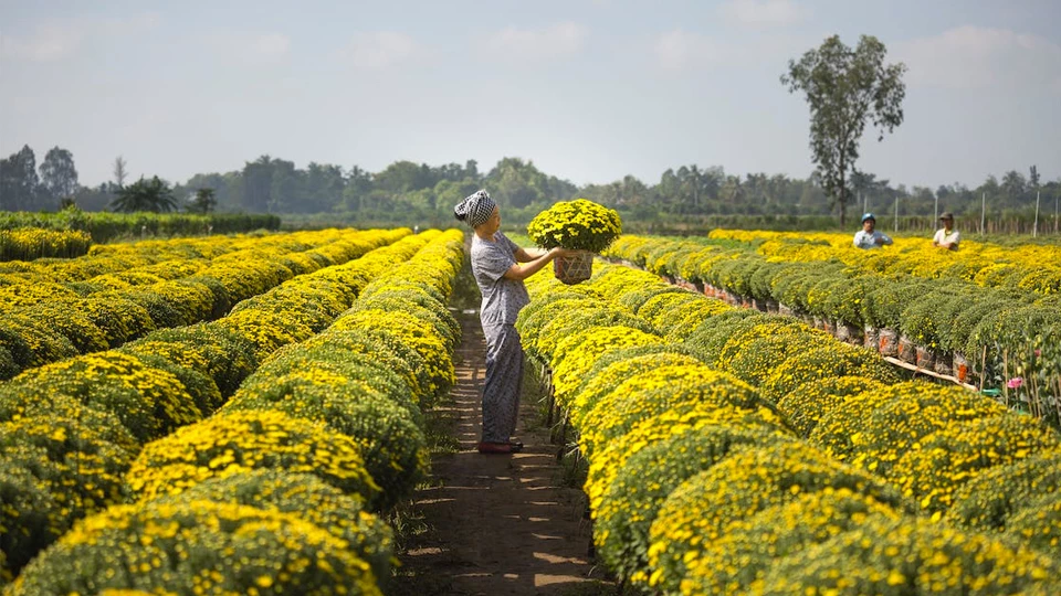 Профессия &laquo;Профессия рабочий зеленого строительства (озеленитель)&raquo;