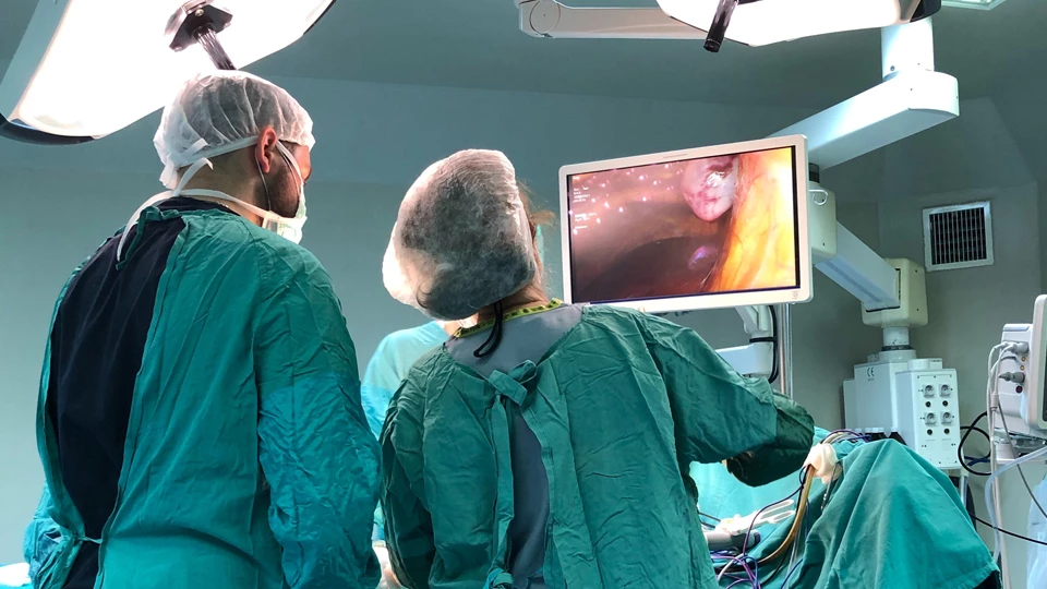 Профессия &laquo;Профессия колопроктолог&raquo;