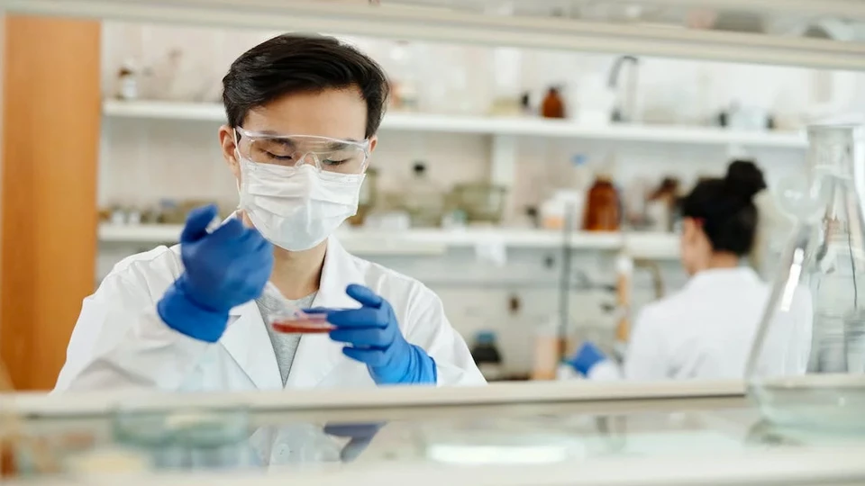 Профессия «Профессия фармаколог»