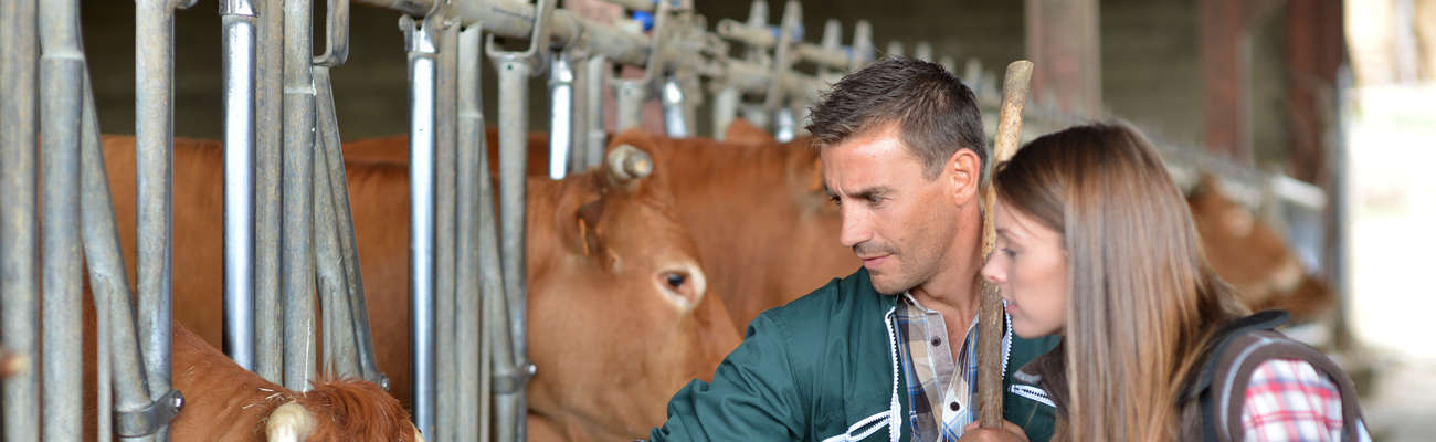 Animal Science Technician: what they do, how to become one, and where to study
