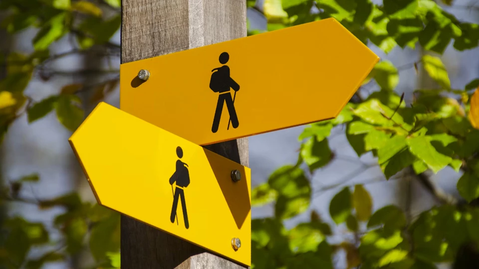 Может ли измениться выбор