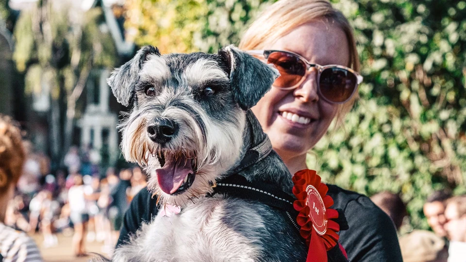 Профессия &laquo;Профессия хендлер&raquo;