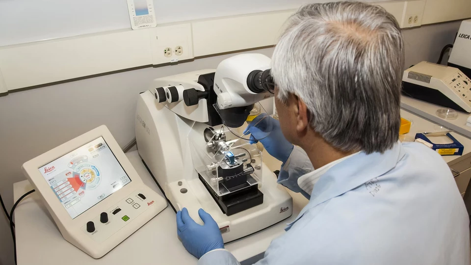 Профессия &laquo;Профессия медицинский технолог&raquo;