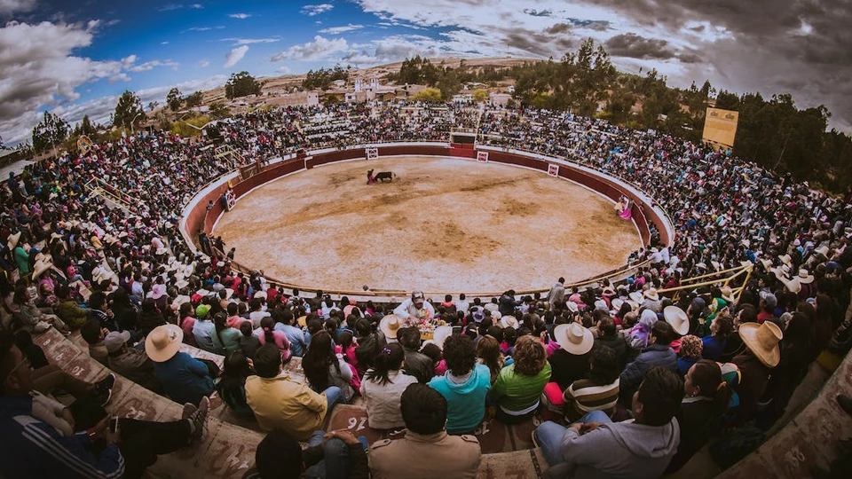 Профессия &laquo;Профессия тореадор&raquo;