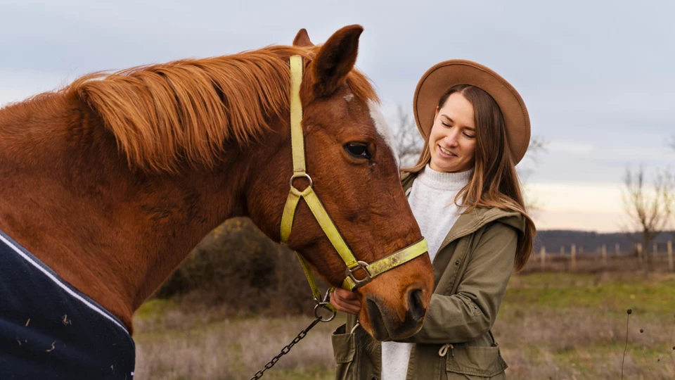 Профессия &laquo;Профессия ипполог&raquo;