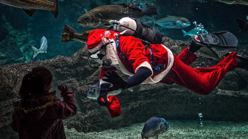 Профессия &laquo;Профессия аквариумист&raquo;