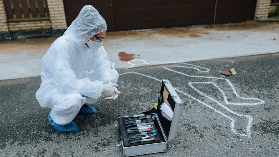 Профессия &laquo;Профессия эксперт-трасолог&raquo;