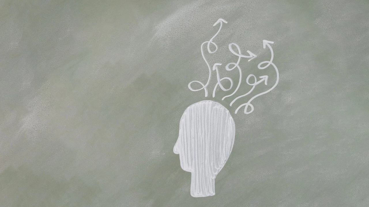 Как выбрать подходящую профессию: роль внимания и памяти