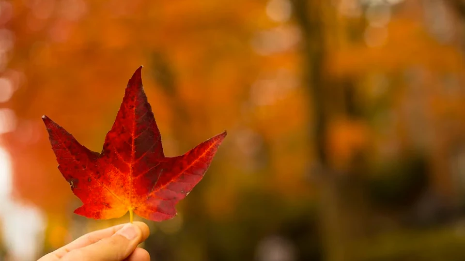 Заметки о профориентации