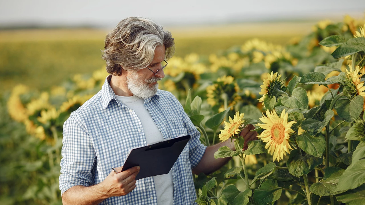 Профессия &laquo;Профессия агроинженер &raquo;