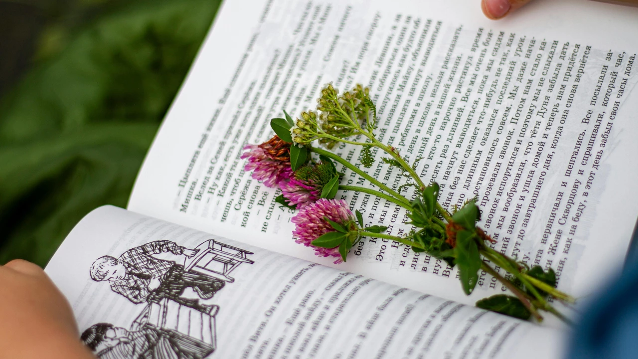 Куда можно поступить с обществознанием и русским