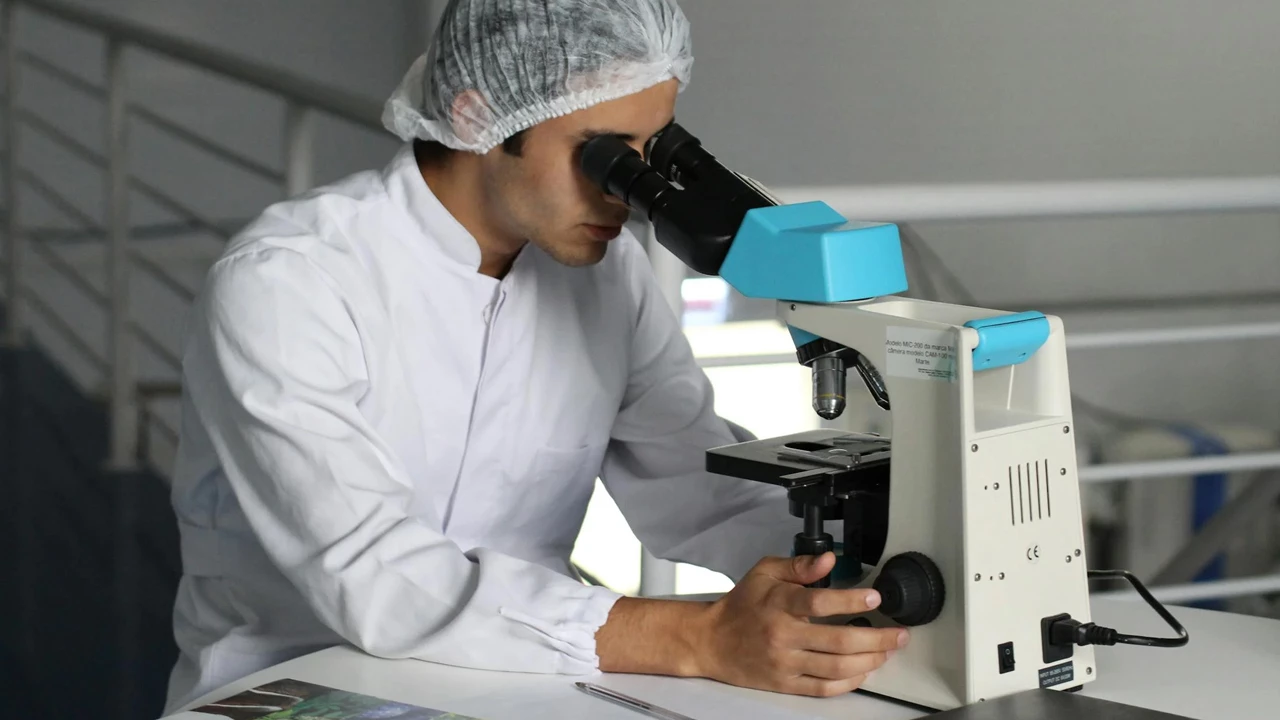 Обществознание и биология: куда поступать