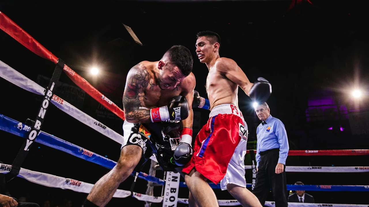 Профессия &laquo;Профессия рефери, судья MMA&raquo;