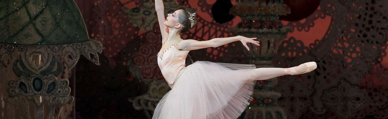 Профессия Балерина: где учиться, зарплата, плюсы и минусы