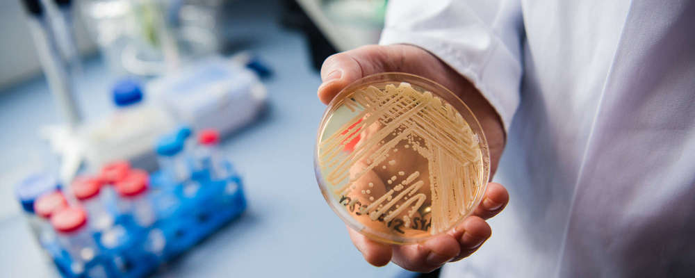 Профессия Микробиолог: где учиться, зарплата, плюсы и минусы