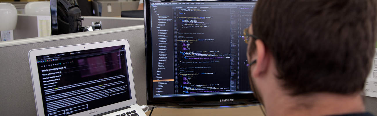 Database Developer