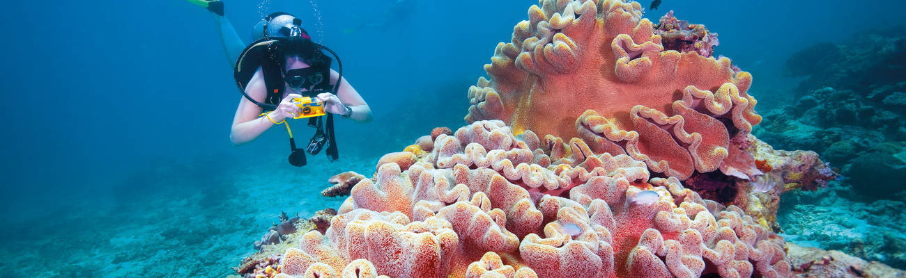 Oceanologist: what they do, how to become one, and where to study