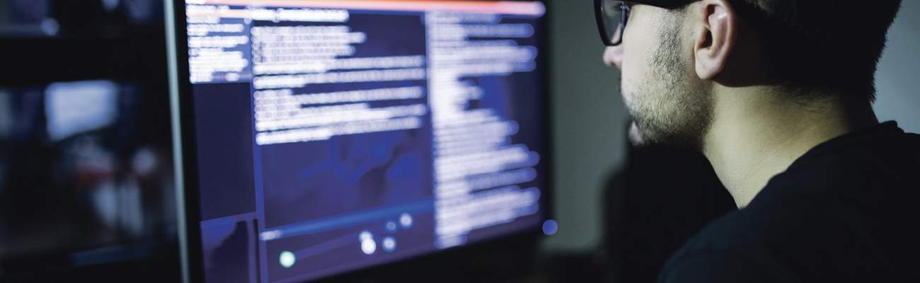 Ruby Programmer
