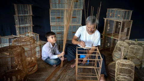 Мастер плетения из лозы (лозоплетение)