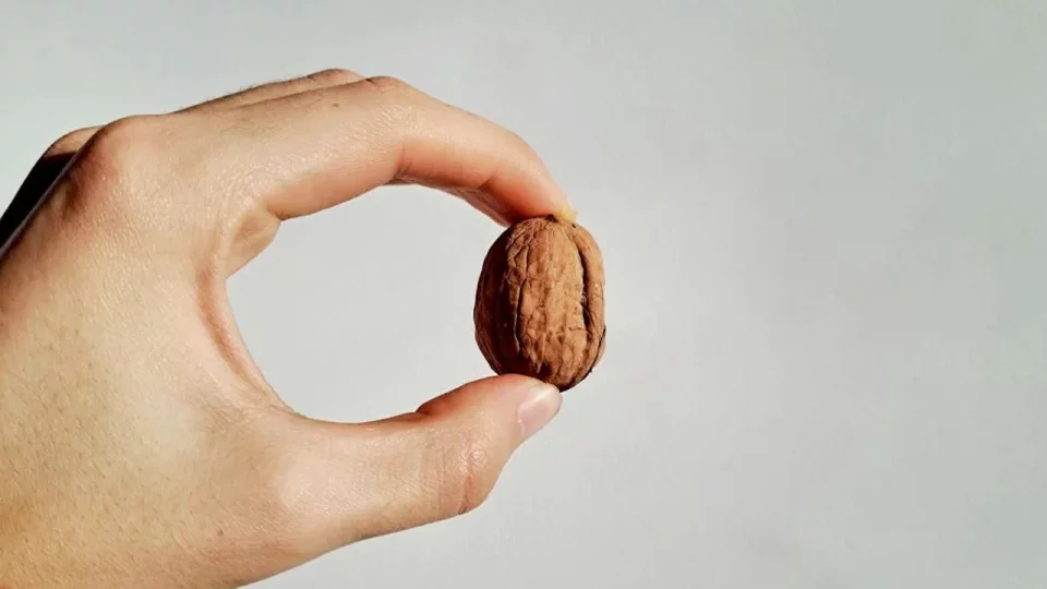 Не спешите менять профессию, или скорлупа здесь не главное 