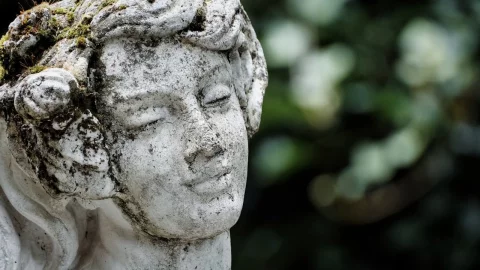 20 лет дома: план выхода