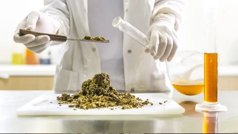 Конструктор-технолог, работающий в сфере производства продуктов лечебно-профилактического и спортивного питания