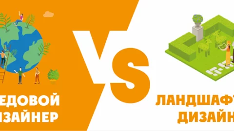 Чем отличается ландшафтный дизайнер от средового