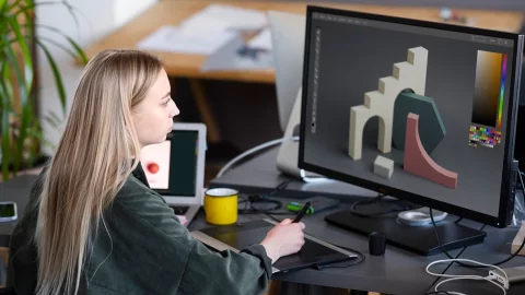 Дизайнер-визуализатор