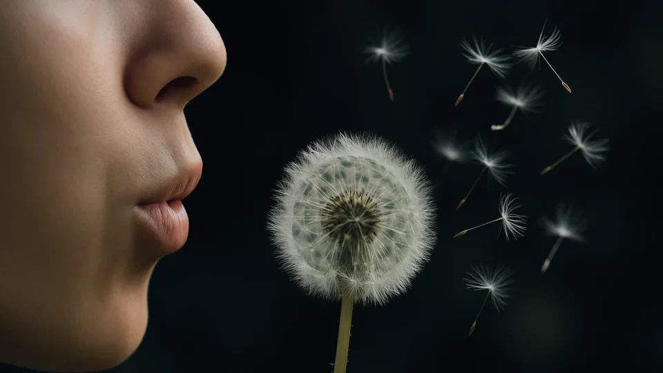 Когда родители хотят земную профессию