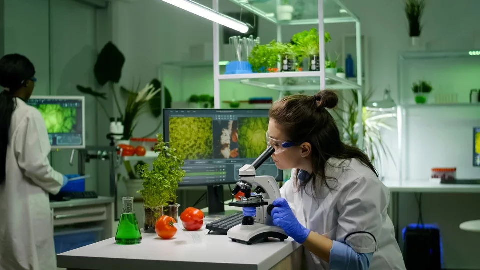 Профессия биоинженер