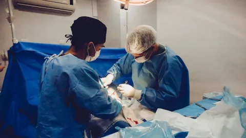 Хирург-уролог