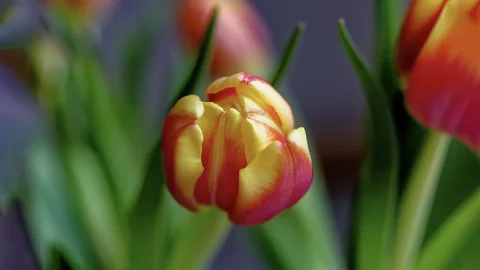 С праздником!