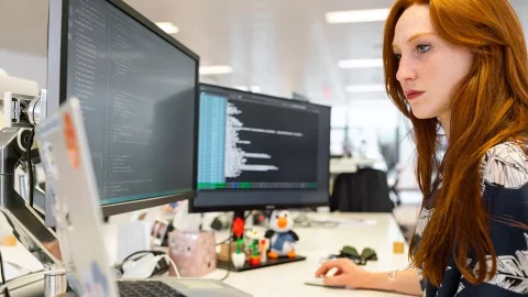 Программист Python