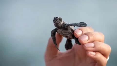 Зоолог