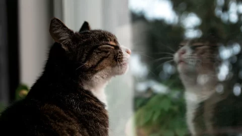 Жертвы собственного выбора